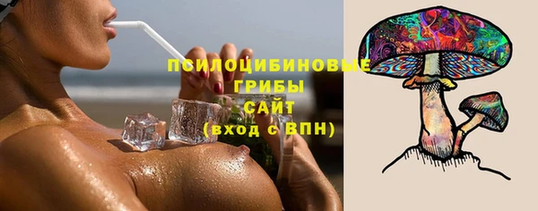 твердый Каменка