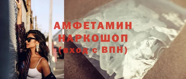 прущие грибы Каменск-Шахтинский
