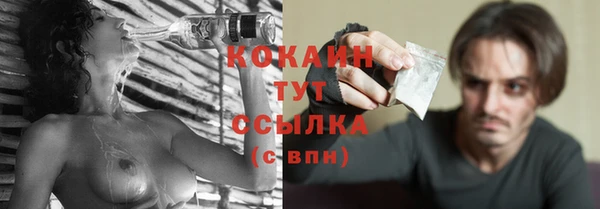 прущие грибы Каменск-Шахтинский