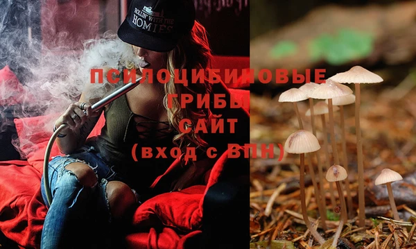 mix Иннополис