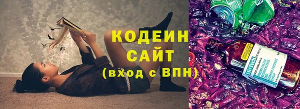 прущие грибы Каменск-Шахтинский