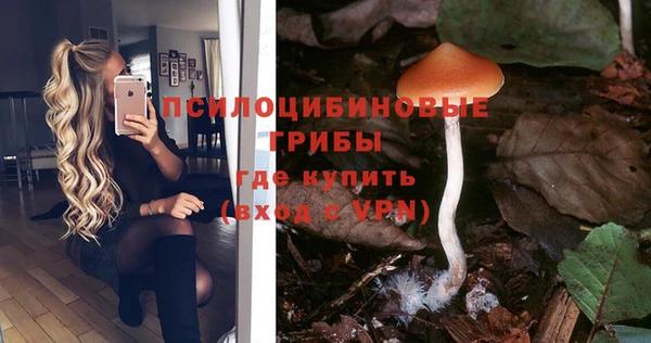 прущий лед Каменногорск