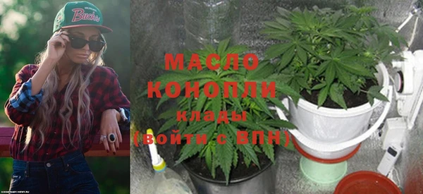прущие грибы Каменск-Шахтинский