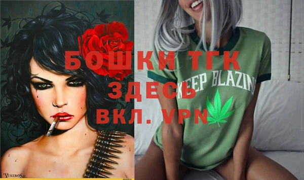 твердый Каменка