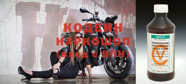 прущие грибы Каменск-Шахтинский