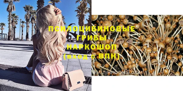 тгк Инта