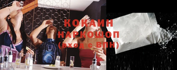 твердый Каменка